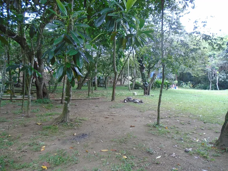 Zona verde junto al río Pance