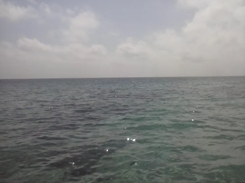 Mar abierto frente a las Islas del Rosario, el plan estrella de la temporada