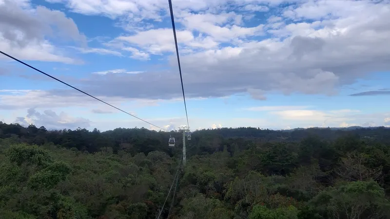 El cable Arví sobre el bosque del Parque Arví